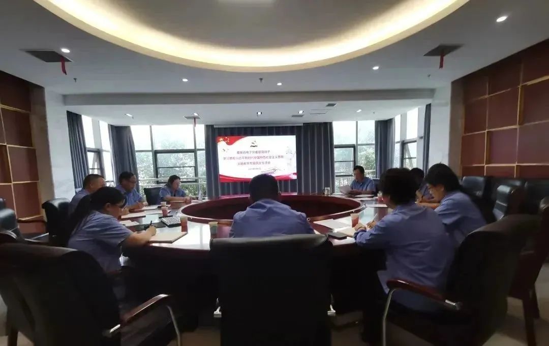 麦斯克电子党委班子召开主题教化专题民主生活会