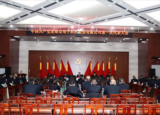 中国共产党免费AV网站-精品无码产区一区二-成人AV有限公司第一次代表大会胜利召开