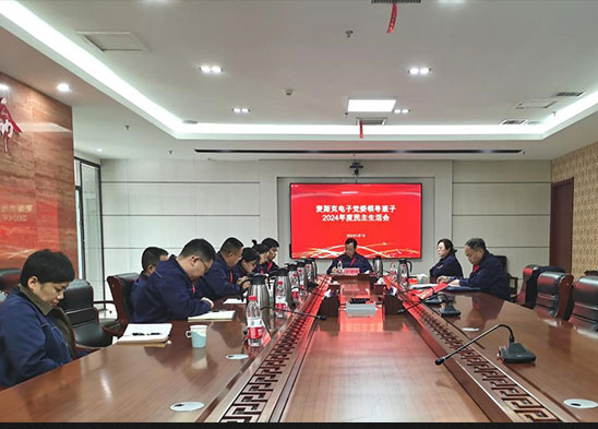 半导体材料板块召开党委主管班子2024年度民主生活会