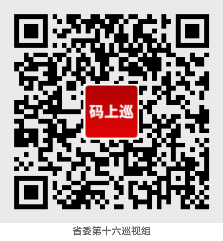省委第十六巡视组巡视豫信电子科技集团有限公司党委工作动员会晤召开